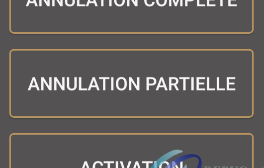Partial cancel on the transaction page